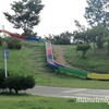子どもと上堰潟（うわせきがた）公園　遊具いろいろ！四季折々の花が咲く広い公園