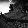 A boy's adventure