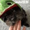 お洒落な養鶏場のオッちゃんと縁起物の初卵！そしてsola子の鼻🩷