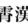 漢検一級勉強録 その370 ｢霄漢｣