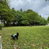 4月も終わり