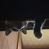 猛暑のお昼寝処
