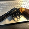 パイソン　Rモデルを・・・買た！
