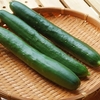 もやしと豆苗のねぎ塩和え