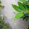 「自然を感じて心も明るく！」