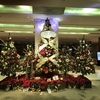 大阪のメリークリスマス