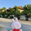 チェンマイMAYAからすぐの高級住宅街＆豪邸エリアをのんびり散歩
