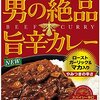 会社の人達と林道ツーリングへ！行くはずだったが・・・