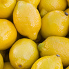 Purchase Popular Varieties of Lemons from Lemon Suppliers