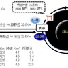 ２０１７年６月１４〜１５日；　２４時間−１００キロ歩行　再々々トライ、　山手線の話題