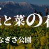 とんかつと菜の花・琵琶湖北上滋賀NO.1の「とんかつ棹」＆「第一なぎさ公園」攻め！
