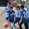 ３年生以下はサッカー大会、4年生以上はフォレストアドベンチャー体験