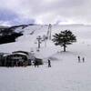 東成瀬村　ジュネス栗駒雪まつり