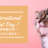 ８月８日【世界猫の日】に猫を愛でる