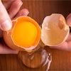 身体作りに欠かせない。卵を積極的に取り入れよう！