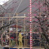 京都への旅　その８　北野天満宮