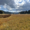 【燧ヶ岳登山】尾瀬沼と湿原の草紅葉を眺めながら