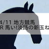 2023/4/11 地方競馬 船橋競馬 7R 馬い!淡路の新玉ねぎ(C1)
