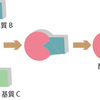 じじぃの「未解決ファイル_303_酵素・鍵と鍵穴」