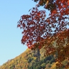 白山白川郷ホワイトロード紅葉（前編）