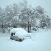 ドカ雪