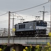 第472列車　「　ハコ釜万歳！単機上洛のEF64 1049号機を狙う　」