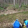 春！公園でおそとごはん