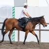 【一口馬主／ラキエータ、ベイステート、カネラフィーナ、リモニウムの22】一番の動きがあったのは…？