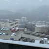 雪です