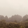 今朝の景色