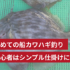 【初めての船カワハギ釣り】初心者こそシンプルな仕掛けにこだわるべし