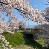 お花見日和。