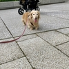 二度寝しちゃった(＞＜)