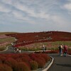 ときわ路パスでコキアの紅葉を見に行く旅2010（まとめ）