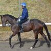 ９日の検疫で栗東・松永幹厩舎へ帰厩しています。☆ラッキーモー