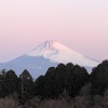 たらなあ今朝の景色