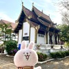 ヘビ年🐍さんの参拝にオススメ！チェンマイMAYAからすぐの”ワットジェッドヨート”【全体像編】