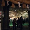 夜桜