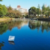 鹿沼公園の池（神奈川県相模原）