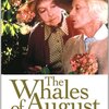 ８月のケアマネ研修～『８月のクジラ（The Whales of August）』～