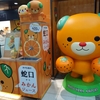 JALダイナミックパッケージで行く松山旅行⑥　松山空港でお食事をして帰宅するお話。
