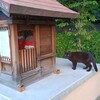 『終物語』まで何度目かの視聴終わり。(月曜日、晴れ)