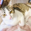 2023.02.07 ふたりと一匹で過ごした一日