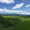 2016.8.11 福島県釣り遠征2日目～午後から阿賀川支流