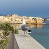 シチリア旅行記⑨ ～ホテル LA GANCIAのご紹介 