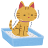 さらに猫砂を替えてみる