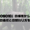 ヒグマ「OSO18」の捕獲から料理まで｜北海道の自然との関わり方を考える
