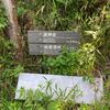 渡神岳　ヒラキ坊主