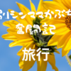 【長野県上田市】真田幸村（信繁）の上田城～六文銭と赤い甲冑がかっこいい～