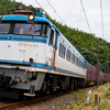 2024/10/26 1063レ EF81 454号機